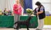 kiwi_vinicne_postoj1