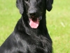 img_3569 img_3569