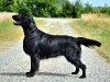 levis_postoj_oberwart3