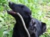 img_1761 img_1761
