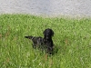 img_3542 img_3542