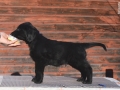 s2_6apul_tydne_postoje_tm_modry2