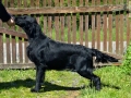 Enzo_post_10mes2